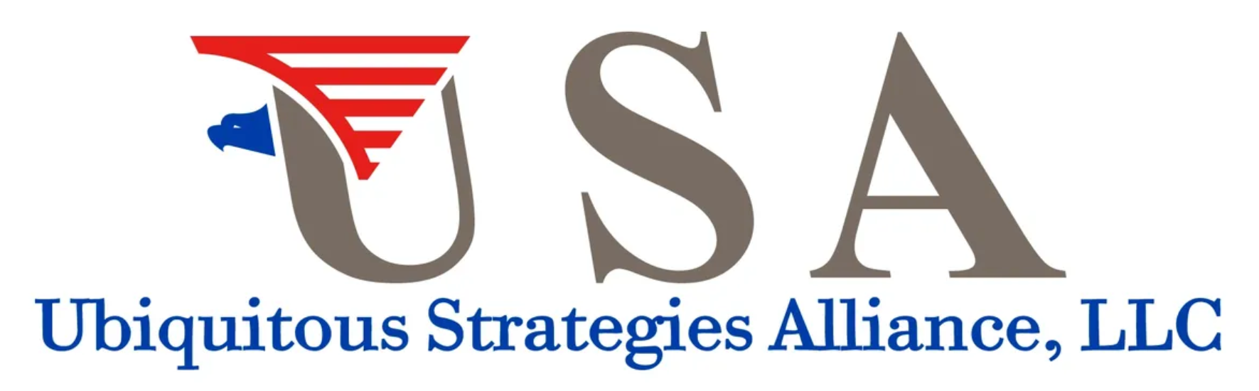 Ubiquitous Strategies - Brad Wenstrup